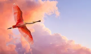 魔幻哥特背景图片