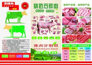 猪肉解剖分解图图片