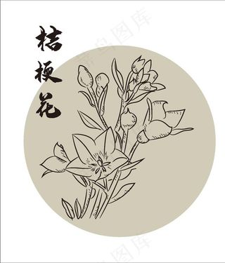 手绘桔梗花图片