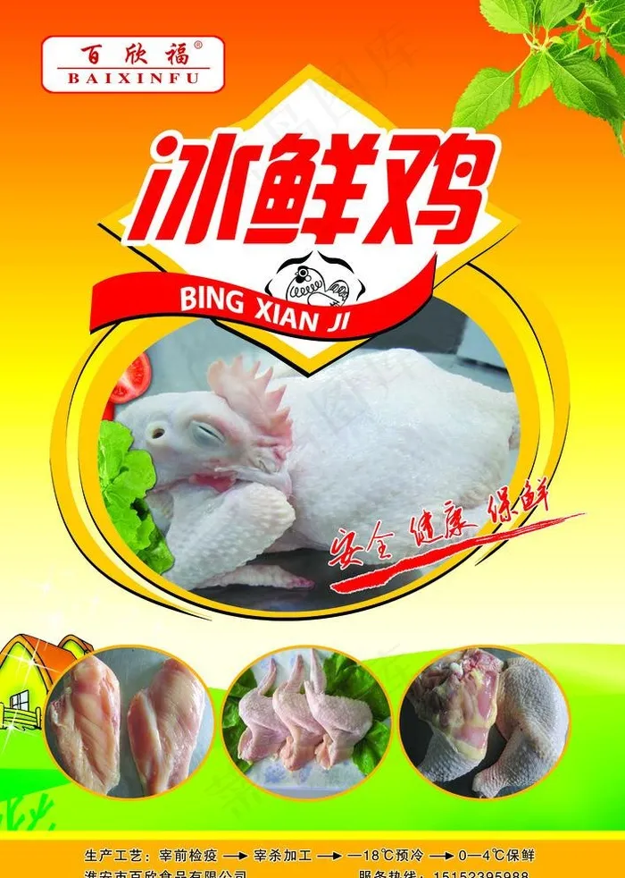 冰鲜鸡图片(4488X6496(DPI:300))psd模版下载