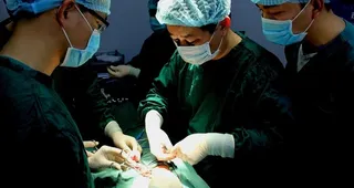 手术灯下的专注图片