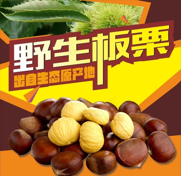 野生板粟 炒板粟图片cdr矢量模版下载
