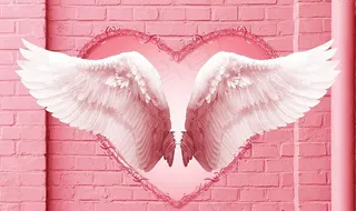 翅膀背景墙图片