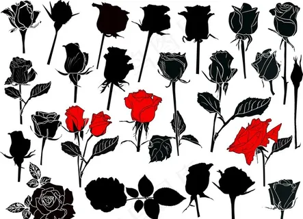 黑白线条剪影玫瑰花图案图片
