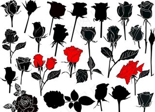 黑白线条剪影玫瑰花图案图片