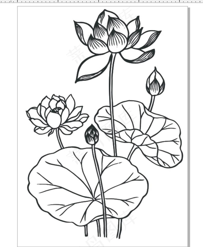荷花花纹图片