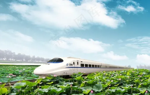 荷花丛 高铁图片