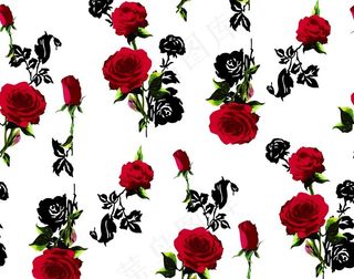 玫瑰花图片