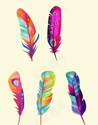 羽毛矢量图片