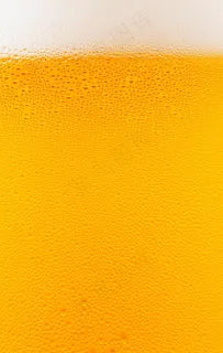 啤酒图片