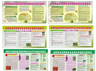 蔬菜种植合作社科普知识图片