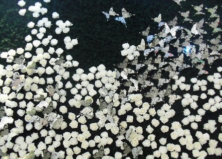 蝶恋花园艺展花墙图片