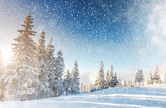 下雪场景图片