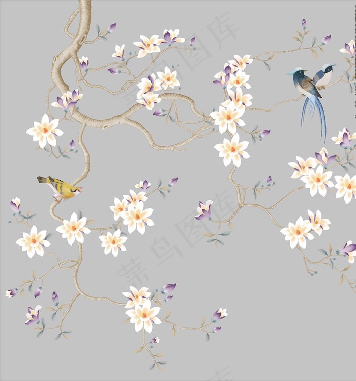 工笔画玉兰花图片(9000X9316(DPI:72))psd模版下载