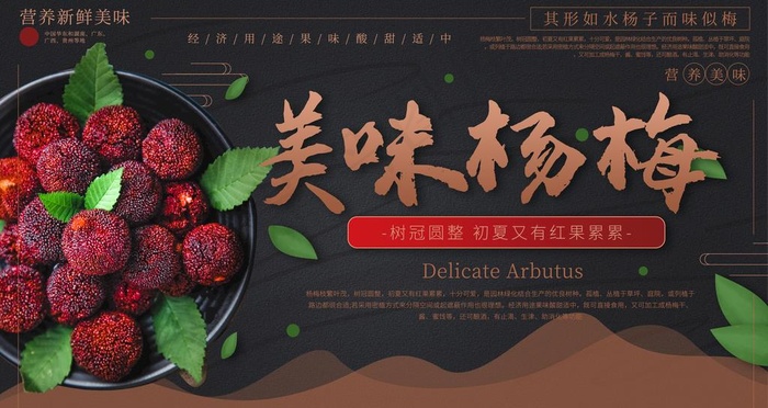 杨梅图片
