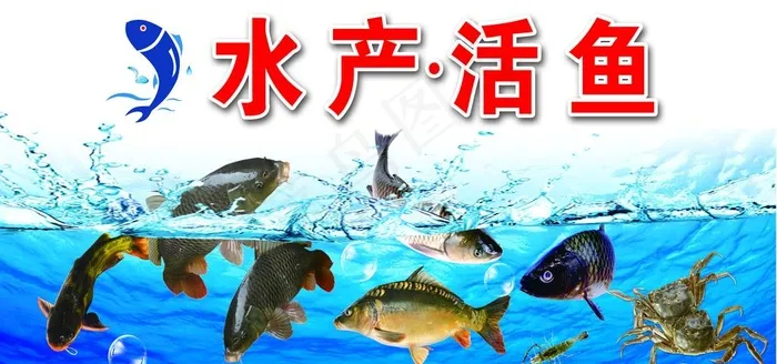 卖场淡水水产活鱼区图板用图片(7370X3685(DPI:72))psd模版下载