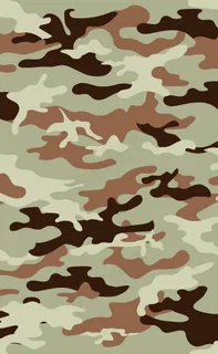 迷彩图片 迷彩图片