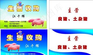 生猪收购名片图片
