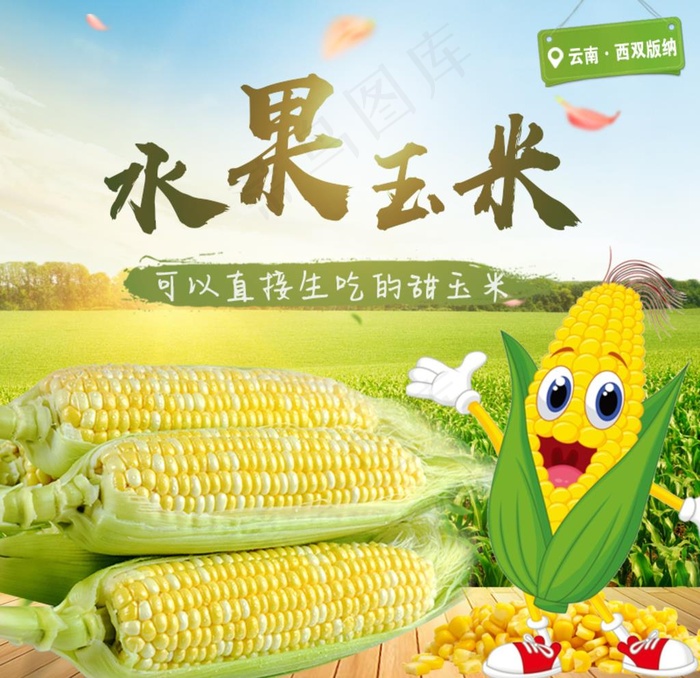 玉米主图图片(800X800(DPI:72))psd模版下载