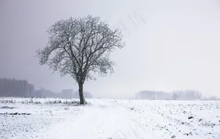 雪景图片