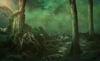 森林迷幻魔幻合成背景素材图片