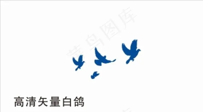 矢量高清白鸽图片cdr矢量模版下载