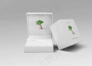 VI包装盒效果图成稿样机图片