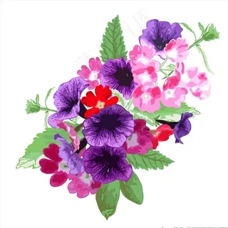 水彩蝴蝶花图片