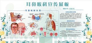 健康展板 健康知识图片