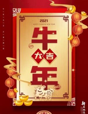 牛年图片