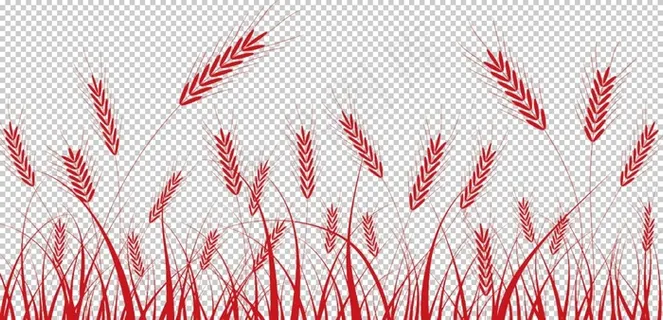 麦穗徽章图片