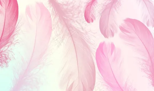 羽毛装饰画背景图片