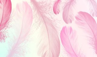 羽毛装饰画背景图片