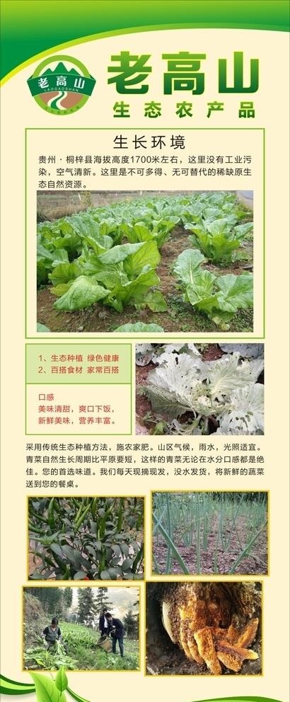 农产品展架  农产品海报图片