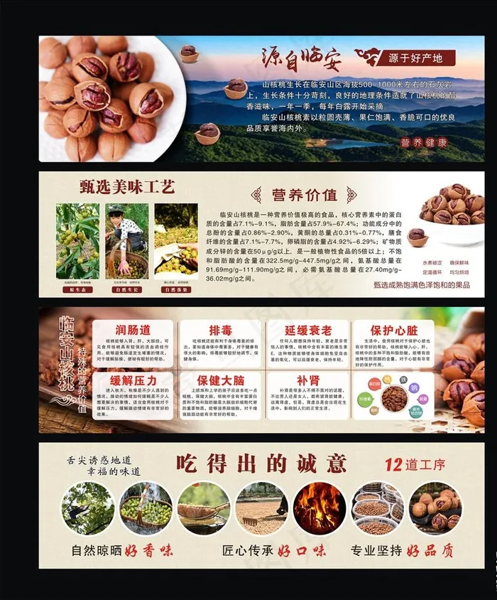 山核桃海报图片cdr矢量模版下载