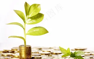 金币绿苗图片