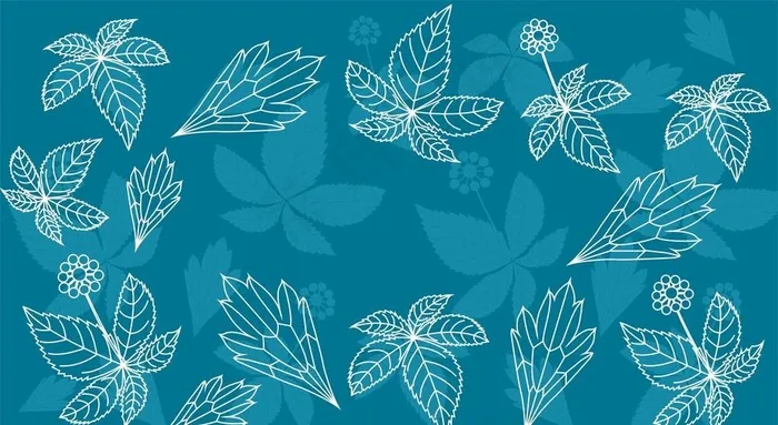 背景花纹图片cdr矢量模版下载