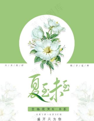 栀子花开图片