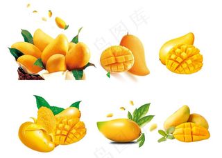 芒果图片