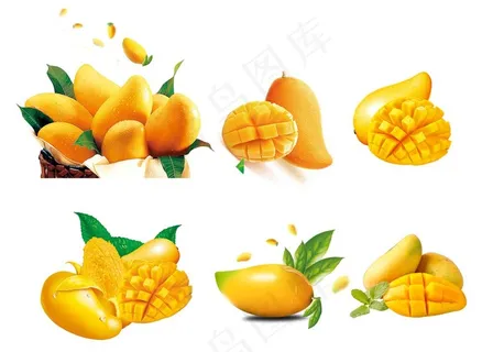 芒果图片 芒果图片