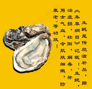 生蚝图片