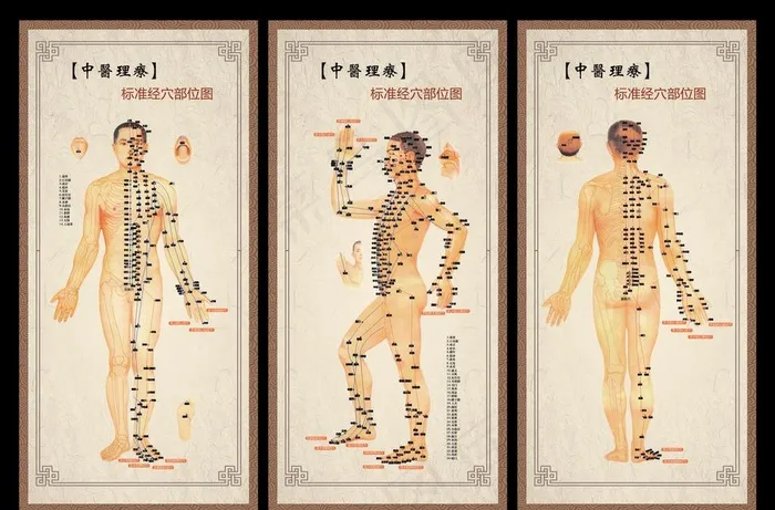 人体穴位图图片(580X1200)cdr矢量模版下载