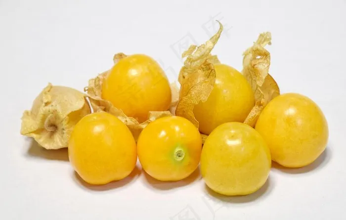 灯笼果图片
