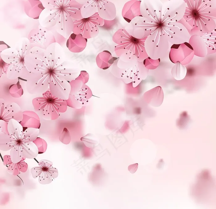 樱花图片ai矢量模版下载