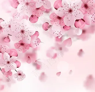 樱花图片 樱花图片