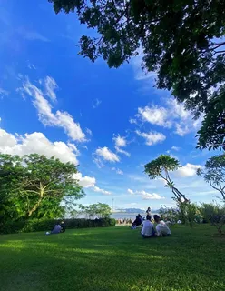 深圳湾公园一角图片