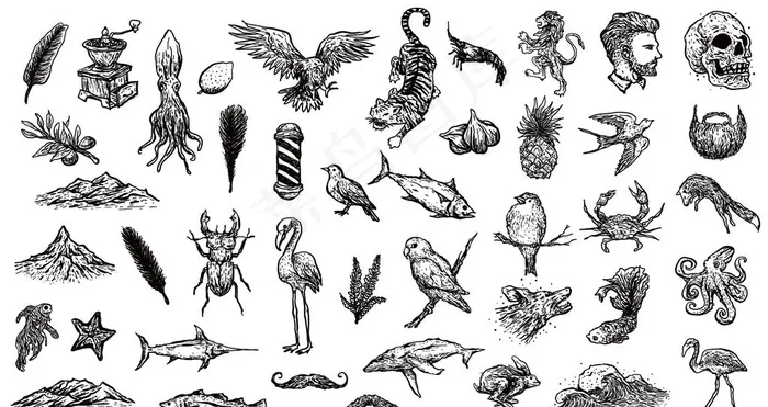 黑白矢量写生手绘素描动物插图图片eps,ai矢量模版下载
