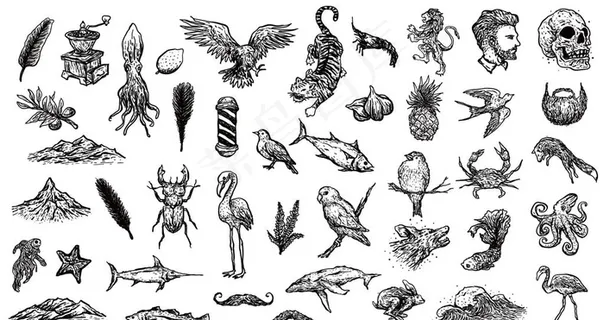 黑白矢量写生手绘素描动物插图图片