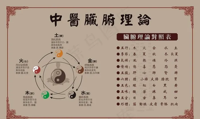 中医脏腑理论图片cdr矢量模版下载