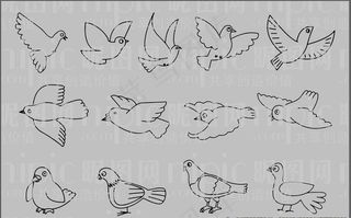 鸽子简笔画图片